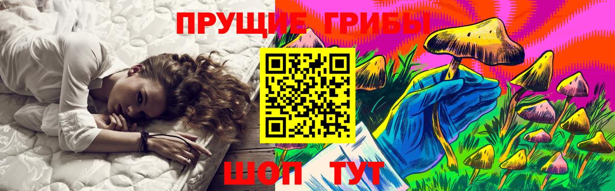 Псилоцибиновые грибы GOLDEN TEACHER Малоярославец