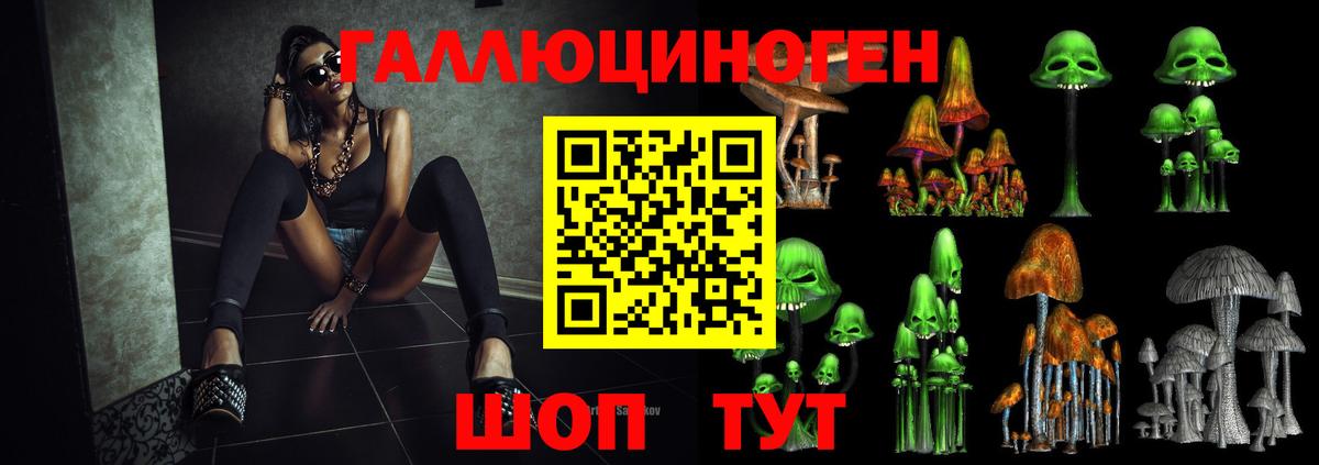 Малоярославец  закладка  Галлюциногенные грибы ЛСД  Вход с VPN  Псилоцибиновые грибы GOLDEN TEACHER 